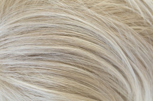 Angelica Large Cap