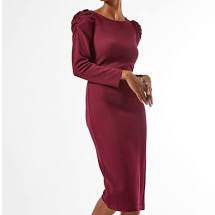 Dorothy Perkins Berry Ruched Sleeve Bodycon Dress